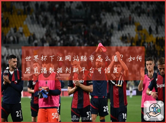 世界杯下注网站赔率怎么看？如何用直播数据判断平台可信度