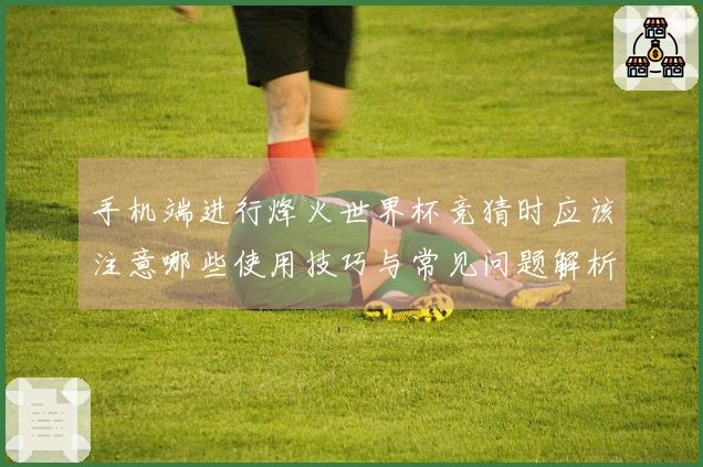 手机端进行烽火世界杯竞猜时应该注意哪些使用技巧与常见问题解析