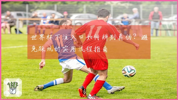 世界杯下注入口如何辨别真伪？避免踩坑的实用流程指南