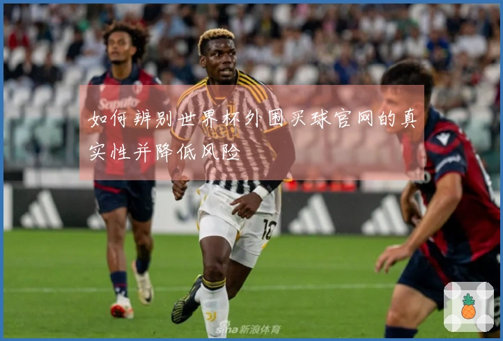如何辨别世界杯外围买球官网的真实性并降低风险