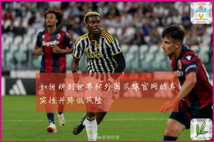 如何辨别世界杯外围买球官网的真实性并降低风险